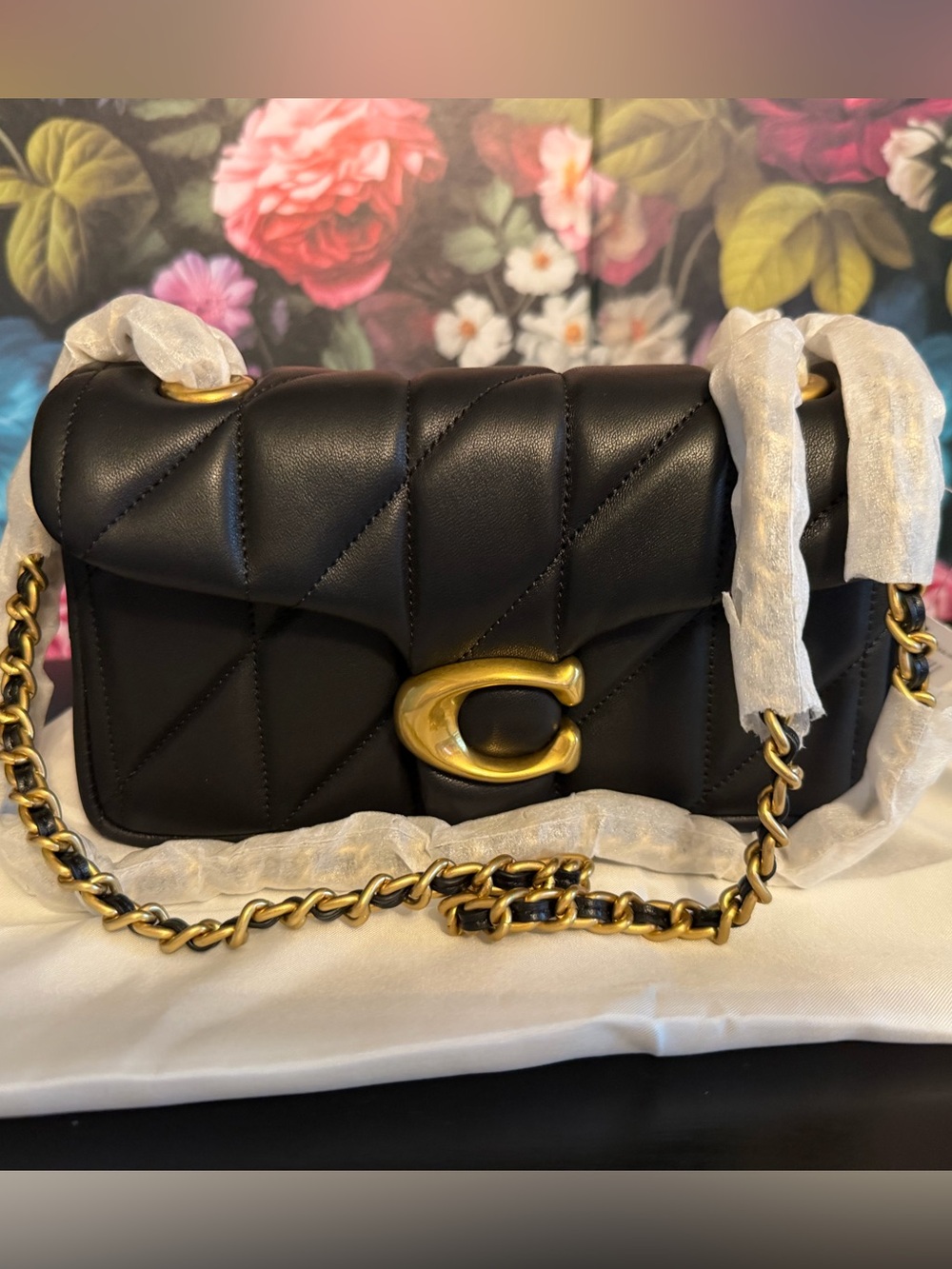Coach tabby NWT